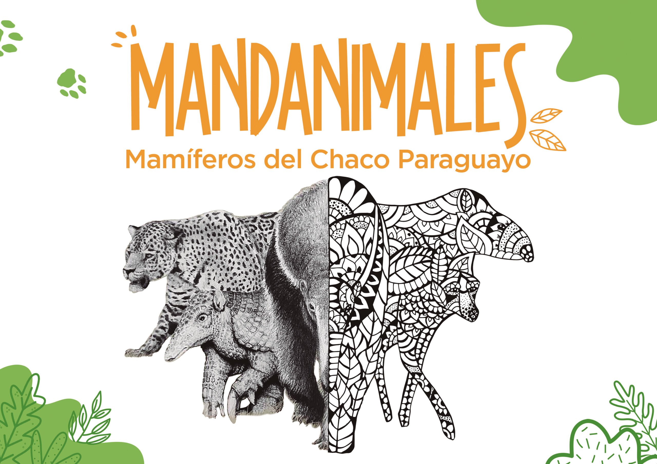 MANDANIMALES – MAMÍFEROS DEL CHACO PARAGUAYO
